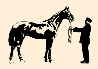 silhouette of a horse with broods of the beginning of the 20th century

