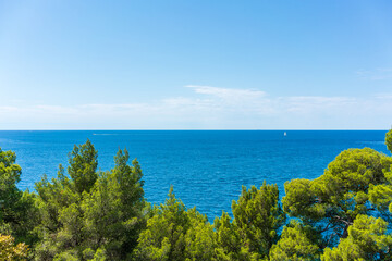 Mediterranean Oceanside in Rovinj, Croatia