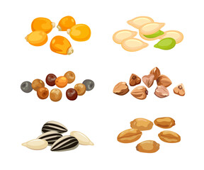 Plant seeds cartoon illustration set. Cereal grains, chickpeas, corn, pumpkin, sunflower seeds isolated on white background..Flat vector collection for agriculture, nutrition and healthy diet concept