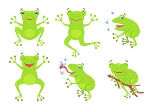 Cute frogs cartoon illustration set.. Funny green croaking toads and frogs jumping and catching flies isolated on white background. Flat vector collection for biology, nature and animals concept