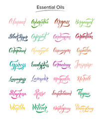 A set of hand-drawn names of 28 essential oils in different colors for labels, cosmetics, decoration. 