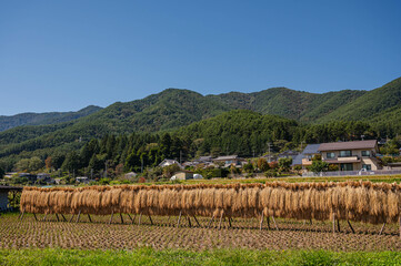 稲刈り後の風景　辰野町
