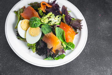 salad salmon red fish appetizer fresh seafood dish meal food snack on the table copy space food background 