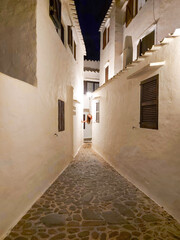 Fototapeta na wymiar narrow street in the old city