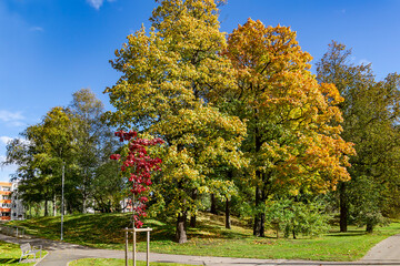 Naklejka premium Beautiful autumn parks with fall color foliage with urban infrastructure in Riga. Latvia. Autumn landscape, autumn postcard.