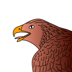 Head of eagle hand drawn vector illustration