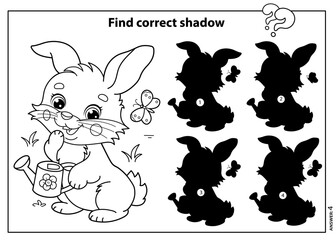 Puzzle Game for kids. Find correct shadow. Coloring Page Outline Of cartoon cute bunny or rabbit with a watering can. Coloring book for children.