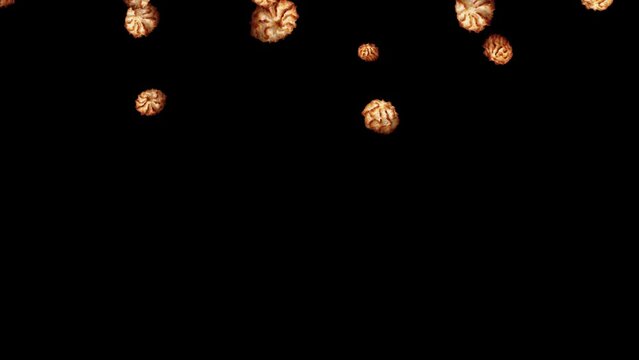Falling macaroons. Isolated baked sugar cookies with black background. 29,97 fps