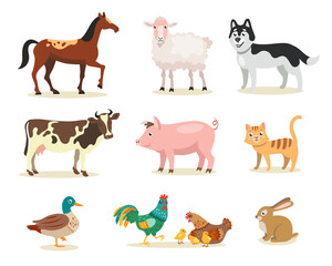 Obraz na płótnie Canvas Different cute farm animals flat vector illustrations set. Cow, hen, rooster, chickens, pig, cat, dog, sheep, duck, horse, rabbit isolated on white background. Domestic animals, agriculture concept