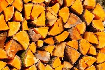 Frisches Brennholz vom Wald