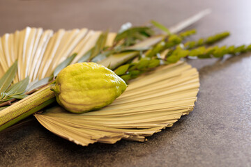Jewish holiday of Sukkot. Traditional symbols (The four species): Etrog (citron), lulav (palm branch), hadas (myrtle), arava (willow) © Olga Mukashev