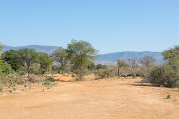Fototapeta na wymiar View of Lower Zambezi National Park, Zambia
