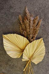 Pampa Bouquet Natural Dried Flower with Dried Palm Leaves Boho Home Decor Bouquet On dark concrete