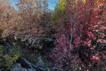 mountain autumn
