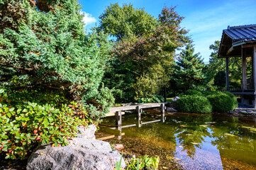 Fototapeta premium Japanese Garden. botanical park in early autumn. Sunny Autumn Day
