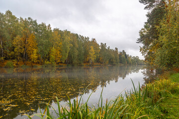 Fototapeta na wymiar Landscape with the lake and trees in autumn