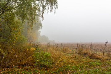 Obraz na płótnie Canvas Field in the fog