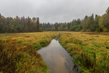 River in the field in autumn