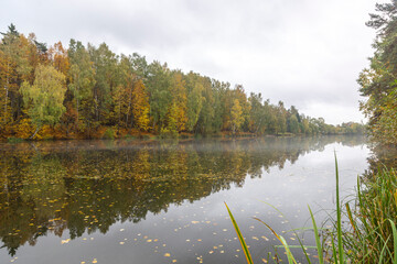 Lake and trees in the autumn