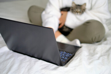 blurry photo of a woman doing online shopping with a cat on her lap