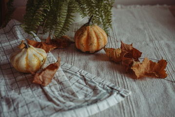 pumpkin on a wooden background