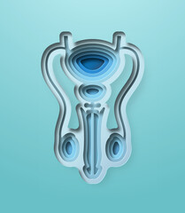 Realistic 3D paper cut human prostate illustration. Layered colorful reproductive male organ for medicine project. Men sexual health, cancer prevention or fertility concept.