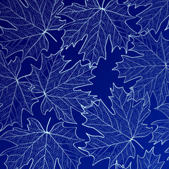pattern of silvery maple leaves on a dark blue background