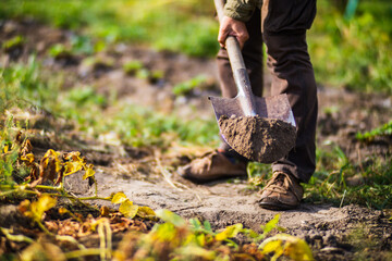 The farmer stands with a shovel in the garden. Preparing the soil for planting vegetables. Gardening concept. Agricultural work on the plantation