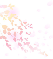 pink branches with rose petals on a white background for valentine's day