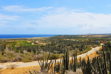 Looking out over the island of Aruba, from the top of a hill.