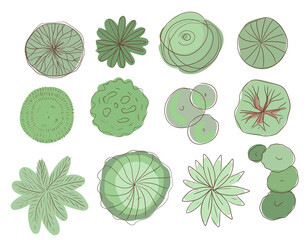 Plan landscape bushes trees top view of the trees graphics color hand drawn separately on a white background with shadows