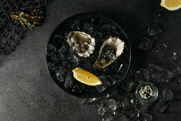 Fresh opened oysters in a plate with ice on black textured background, top view.