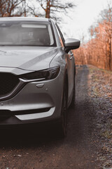 Grey SUV on forest road