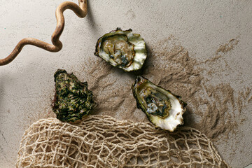 closed oysters, fresh oyster shell, mollusks in seafood market, aphrodisiac sea restaurant,...