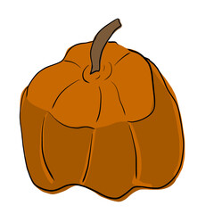 Pumpkin. Doodle, sketch. harvesting. halloween. vegetable. circuit. flat design