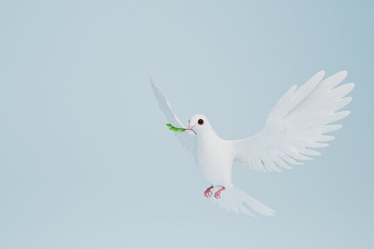 a white dove of peace with an olive branch in its beak on a blue background. copy paste, copy space. 3D render