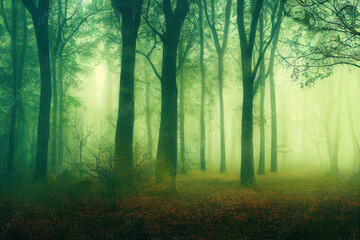 Obraz premium misty foggy autumn forest, wam colors, beautiful nature background wallpaper