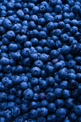 Fresh blueberry background. Texture blueberry berries close up.