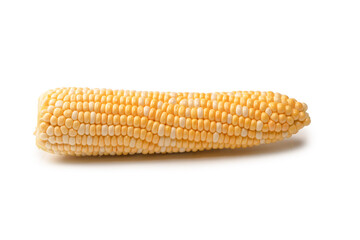 Yellow sweet corn isolated on white background. Copyspace.