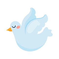 cute white dove flying