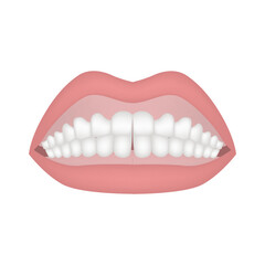 Clenched white teeth with lips and gums. Vector illustration