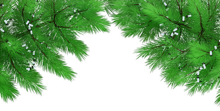 Border with Christmas tree branches, 3d rendering. Pine branches, frame. Christmas design on a transparent background.