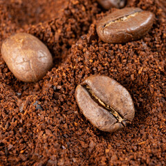 Fototapeta premium Three coffee beans lie on ground coffee close-up.