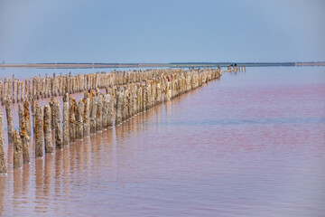 wooden piers in salt lake, wooden remains in pink lake