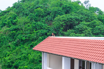 Young woman standing alone on a rooftop looking at the beautiful green mountains nature view. Tranquility, freedom, nature, vacation, and adventure concept.