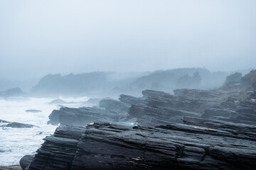 Paisaje de la costa rocosa con rocas metamórficas mirando al mar con espuma y niebla húmeda de la costa en ascenso hacia el bosque de fondo en día de lluvia y nubes en ambiente frío al sur de chile