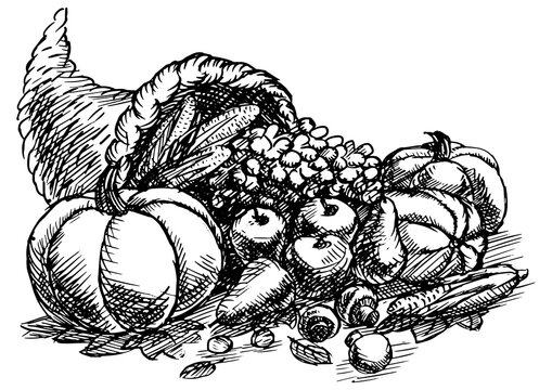 Vegetables harvest sketch style PNG illustration with transparent background