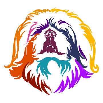 recommend clip art: Abstract portrait of a Pekingese dog color contour illustration
