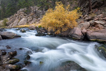 Flowing River in Autumn