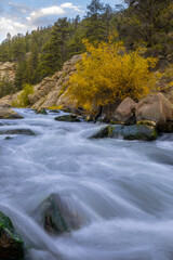 flowing mountain river in the fall